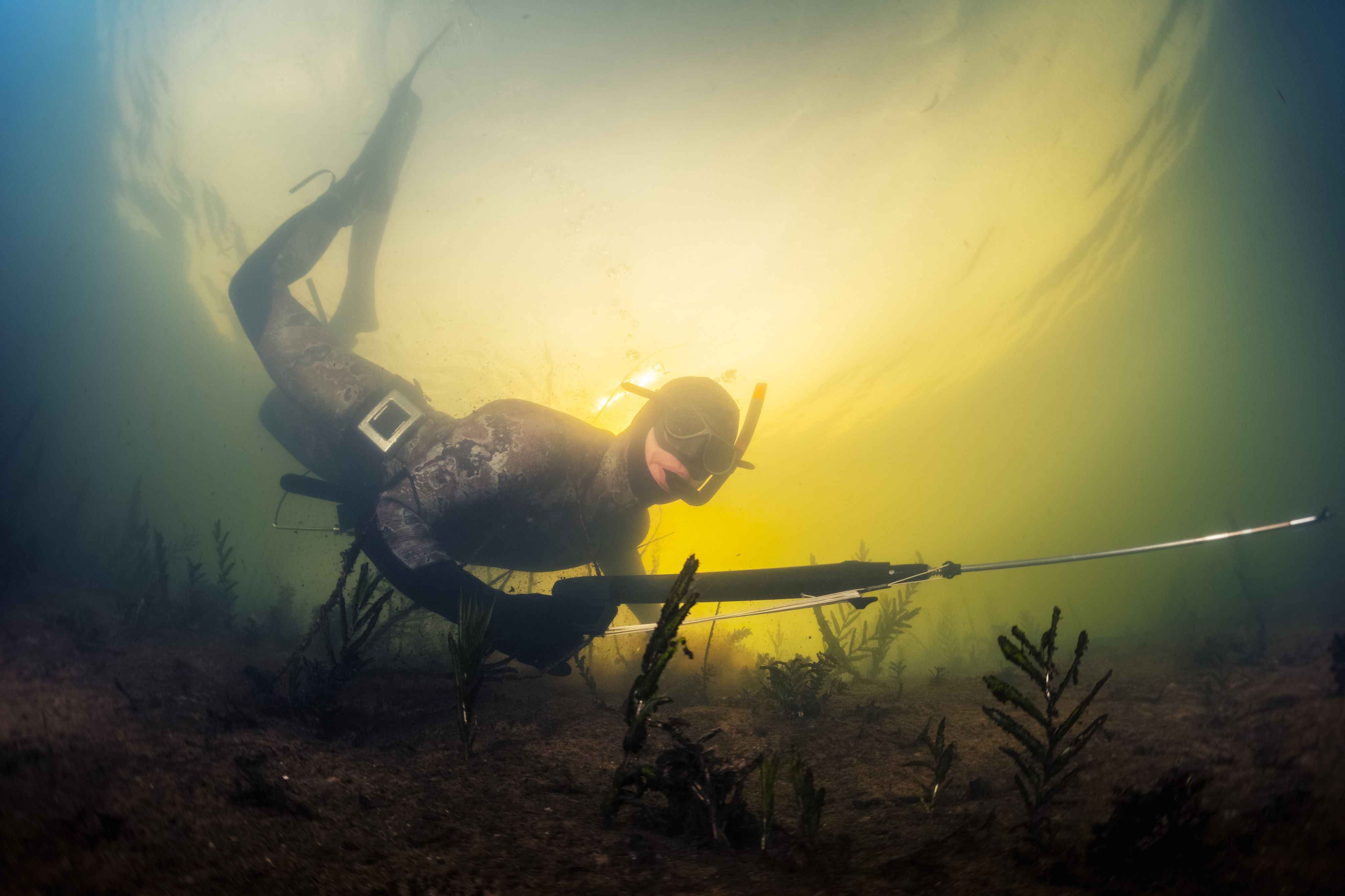 Spearfishing