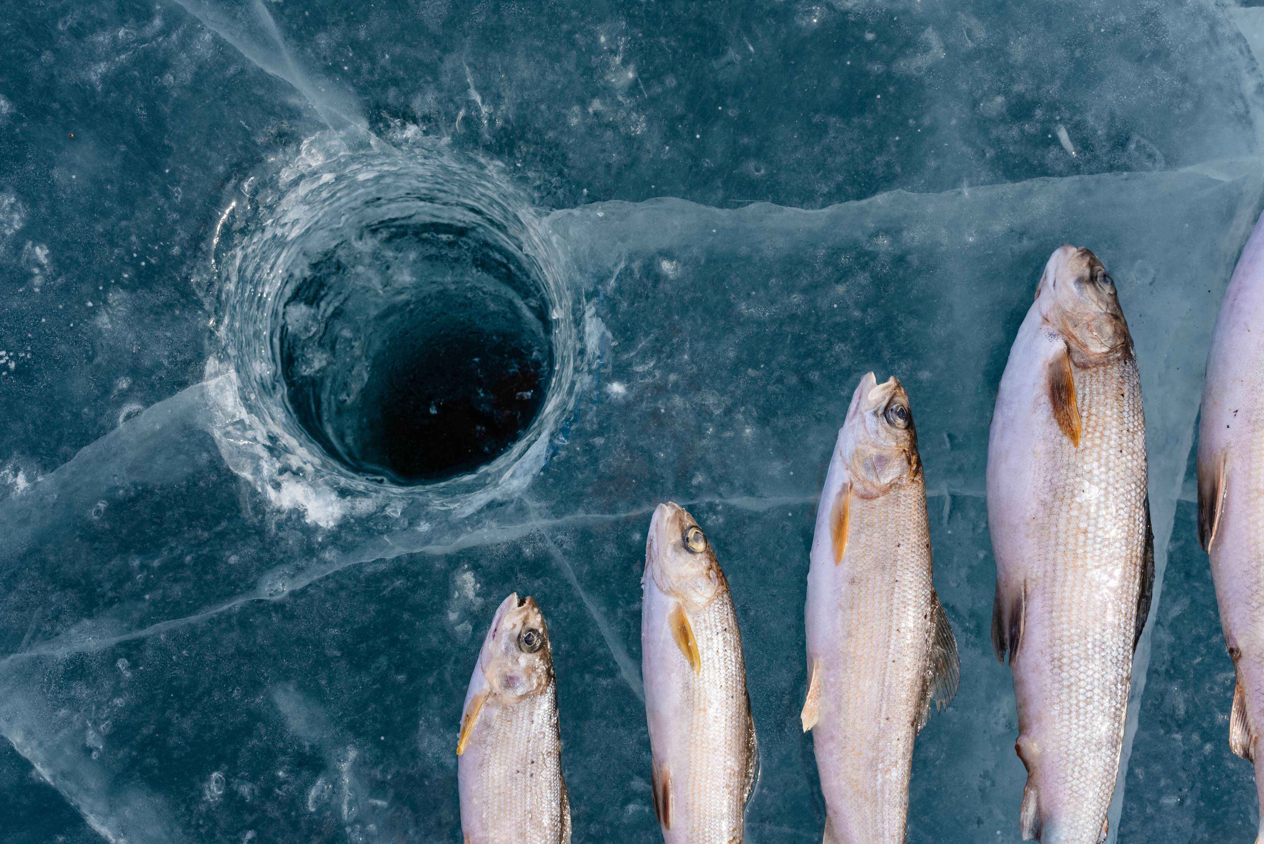 Ice Fishing