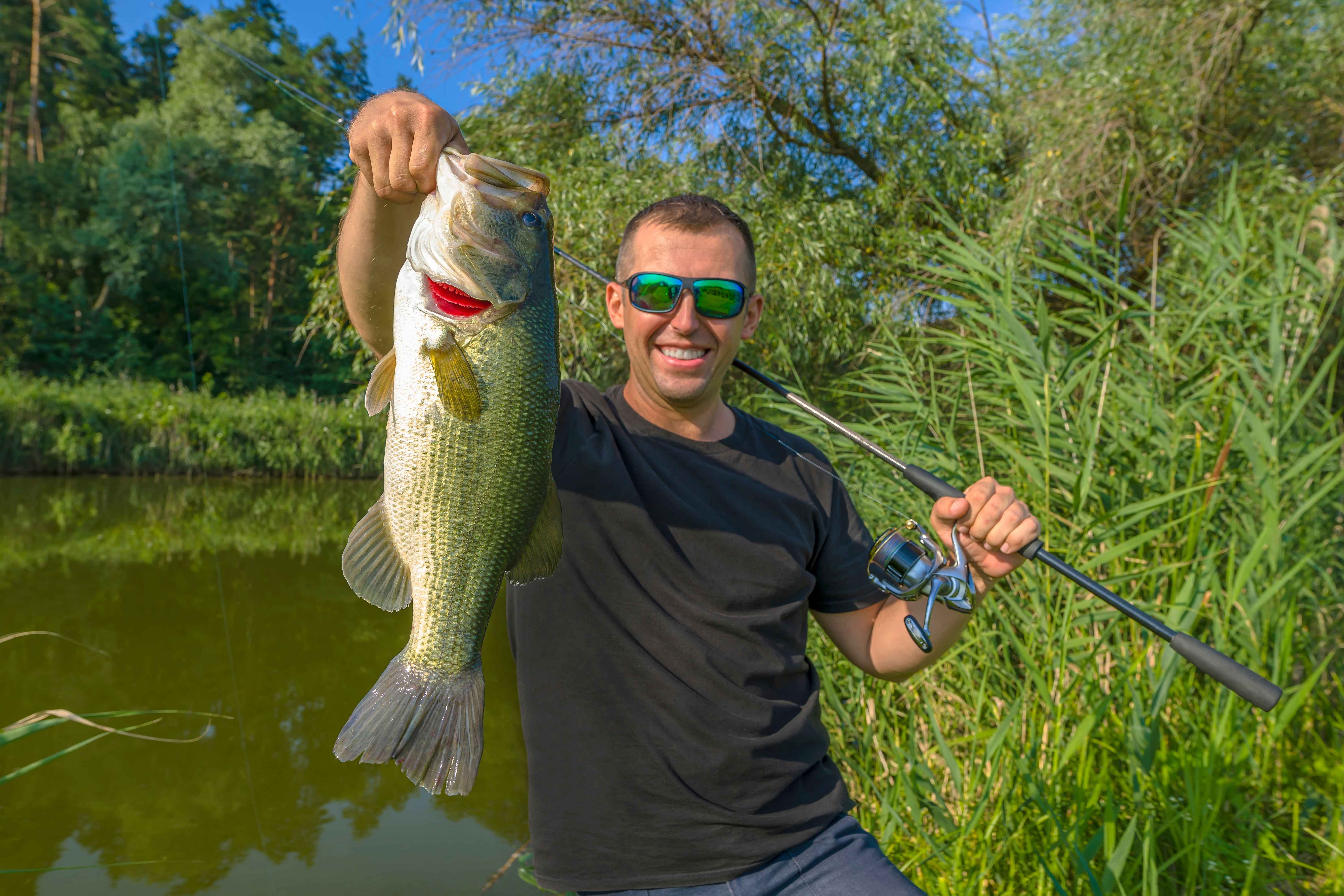 4 Ways to Hunt the Summer Grass for Big Bass